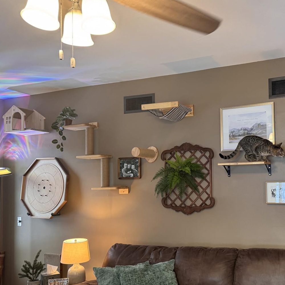 Cat Furniture Solid Wooden Sus - Furniture Paradise & Hardware Ghaziabad Reviews review and price